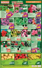 Catalogue Norma page 4
