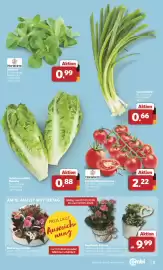 Combi Markt DE folder week 19 Pagina 3