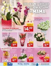 Netto Marken-Discount DE folder week 19 Pagina 28