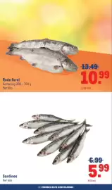 Makro folder | BBQ Pagina 18