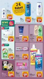 REWE City Prospekt woche 19 Seite 24