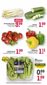 Scheck-in-Center Prospekt woche 19 Seite 31