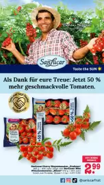 Scheck-in-Center Prospekt woche 19 Seite 34