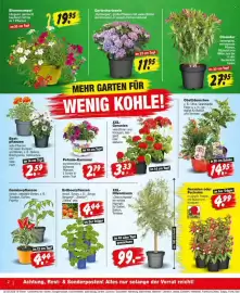 Repo Markt Prospekt woche 19 Seite 2