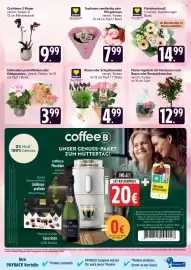 Edeka24 Prospekt woche 19 Seite 5