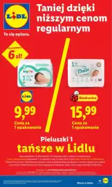 Lidl gazetka Strona 13