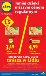 Lidl gazetka Strona 19