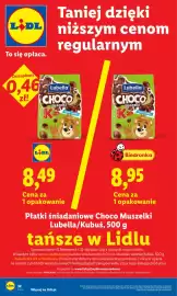 Lidl gazetka Strona 32
