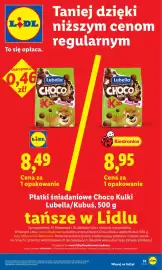 Lidl gazetka Strona 33