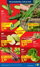 Lidl gazetka Strona 39