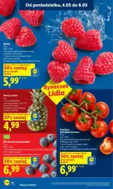 Lidl gazetka Strona 42