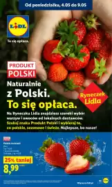 Lidl gazetka Strona 43