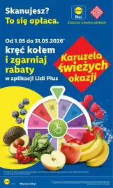 Lidl gazetka Strona 44