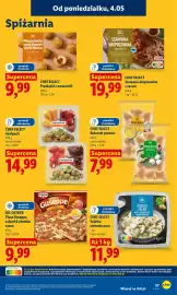 Lidl gazetka Strona 61