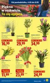 Lidl gazetka Strona 85