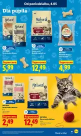 Lidl gazetka Strona 93
