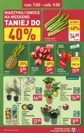 ALDI gazetka tydzień 19 Strona 31
