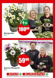 Spar kundeavis Side 18
