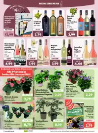 Aktiv Irma Prospekt woche 19 Seite 2