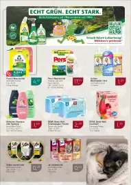 Dornseifer Prospekt woche 19 Seite 14