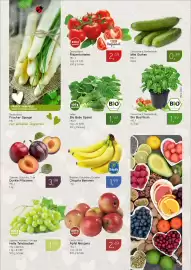 Dornseifer Prospekt woche 19 Seite 7