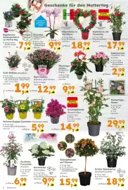 Globus Baumarkt Prospekt Seite 2