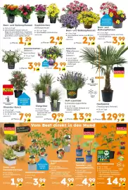 Globus Baumarkt Prospekt Seite 3