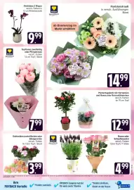 Marktkauf Prospekt Seite 5