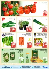 Marktkauf Prospekt Seite 9