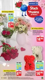 EDEKA Berger Prospekt woche 19 Seite 25