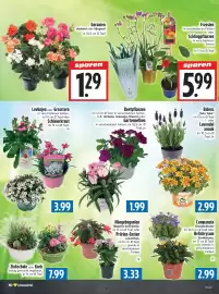 EDEKA Hahner Prospekt Seite 8
