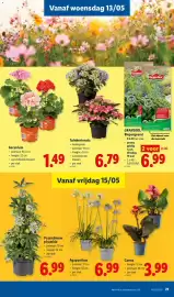 Lidl folder week 20 Pagina 21