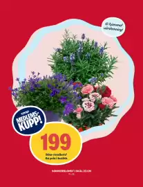 Matkroken kundeavis uke 19 Side 11