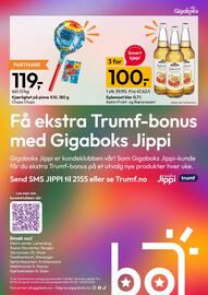 Gigaboks kundeavis uke 19 Side 12