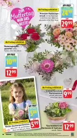 Edeka Stenger Prospekt woche 19 Seite 24