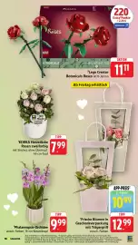 Edeka Stenger Prospekt woche 19 Seite 28