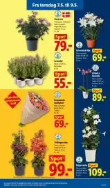 Lidl tilbudsavis Side 14