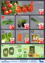 EDEKA Stralsund Prospekt woche 19 Seite 11