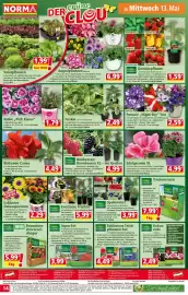 Norma Prospekt woche 20 Seite 14