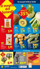Volantino Lidl settimana 19 Pagina 48