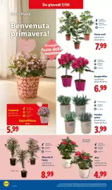 Volantino Lidl settimana 19 Pagina 30