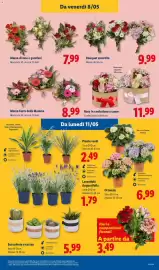 Volantino Lidl settimana 19 Pagina 31