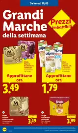 Volantino Lidl settimana 19 Pagina 42