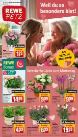 REWE PETZ Prospekt woche 19 Seite 1