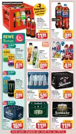 REWE PETZ Prospekt woche 19 Seite 22