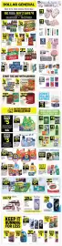 Dollar General weekly ad week 19 Page 1