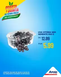 Folheto Apoio Mineiro Página 4