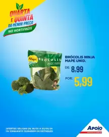 Folheto Apoio Mineiro Página 6