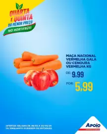 Folheto Apoio Mineiro Página 8