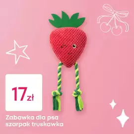 Pepco gazetka Strona 2